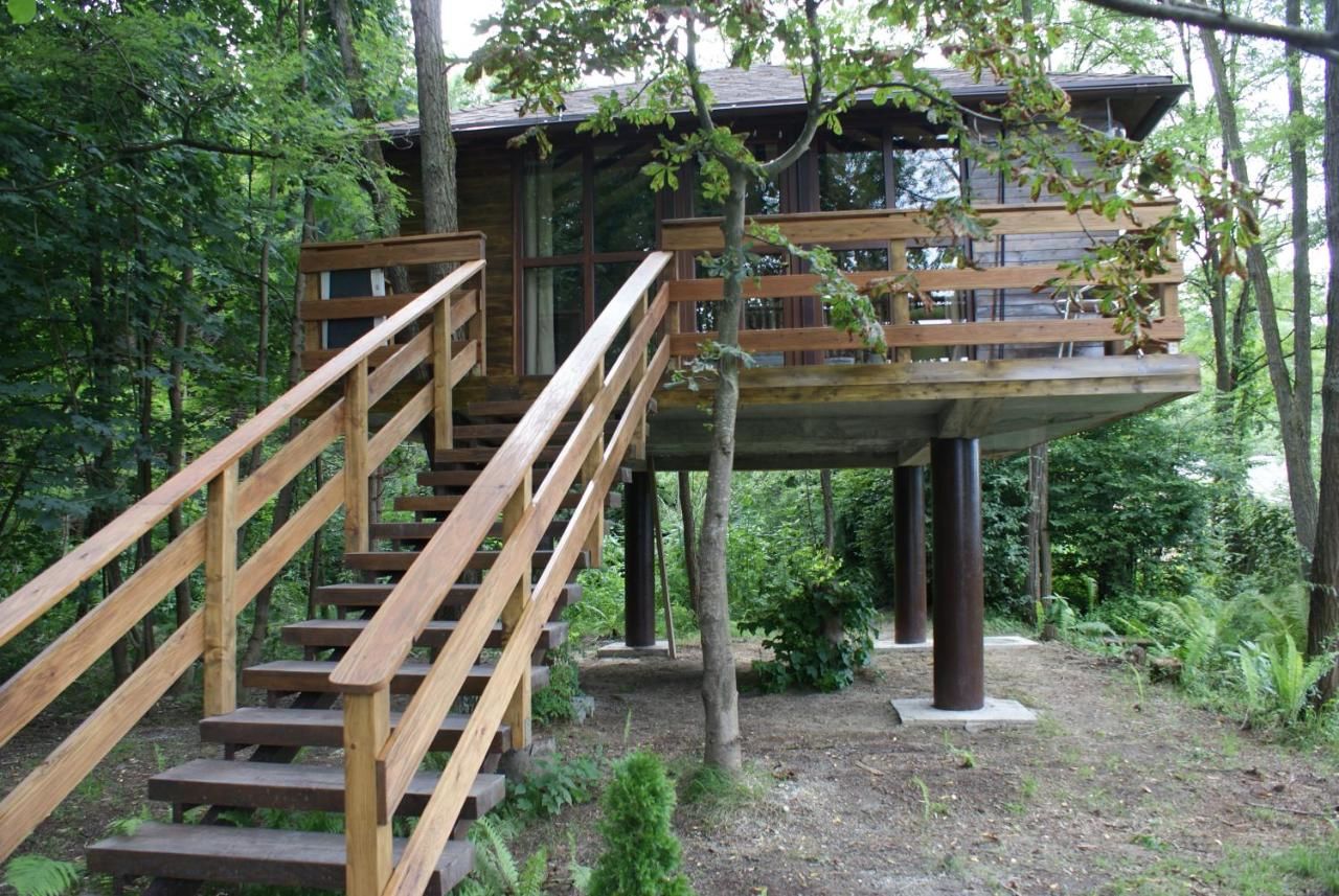 Шале Porumbacu Treehouse Порумбаку-де-Сус-28