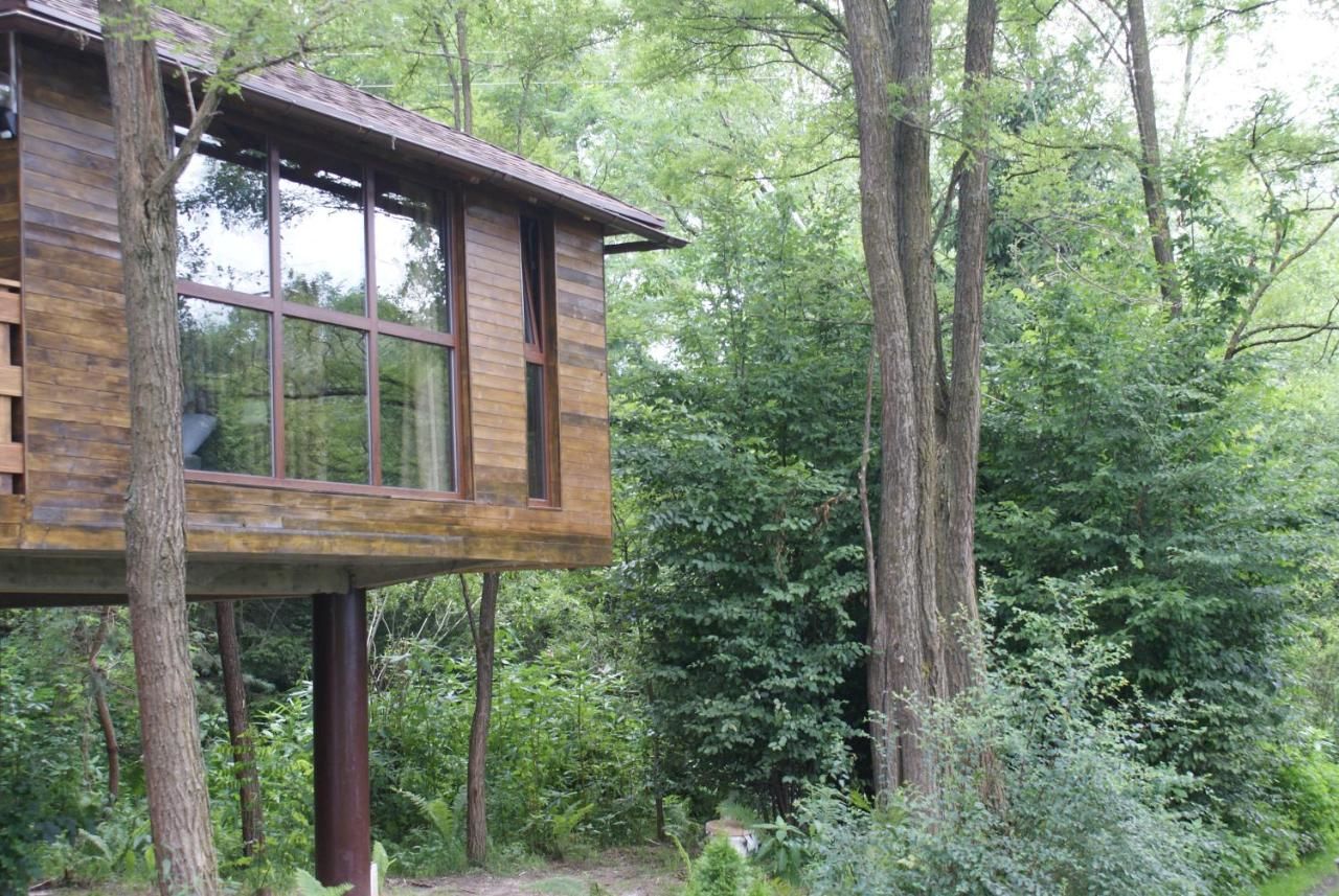 Шале Porumbacu Treehouse Порумбаку-де-Сус-32