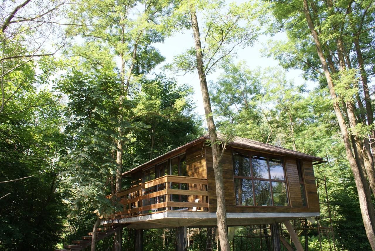 Шале Porumbacu Treehouse Порумбаку-де-Сус-33