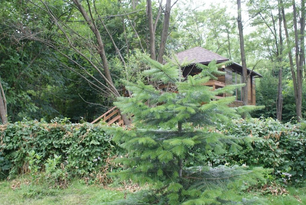 Шале Porumbacu Treehouse Порумбаку-де-Сус-92